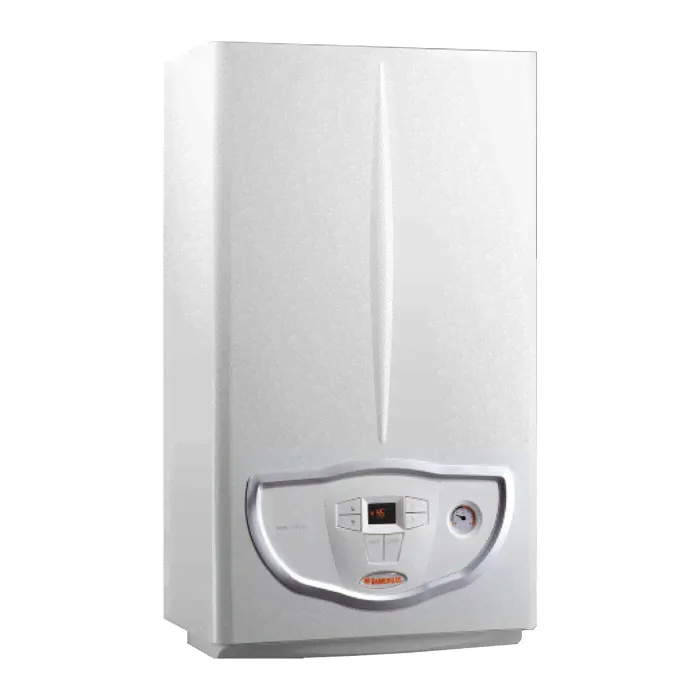 Immergas Mini Nike 24 3 E