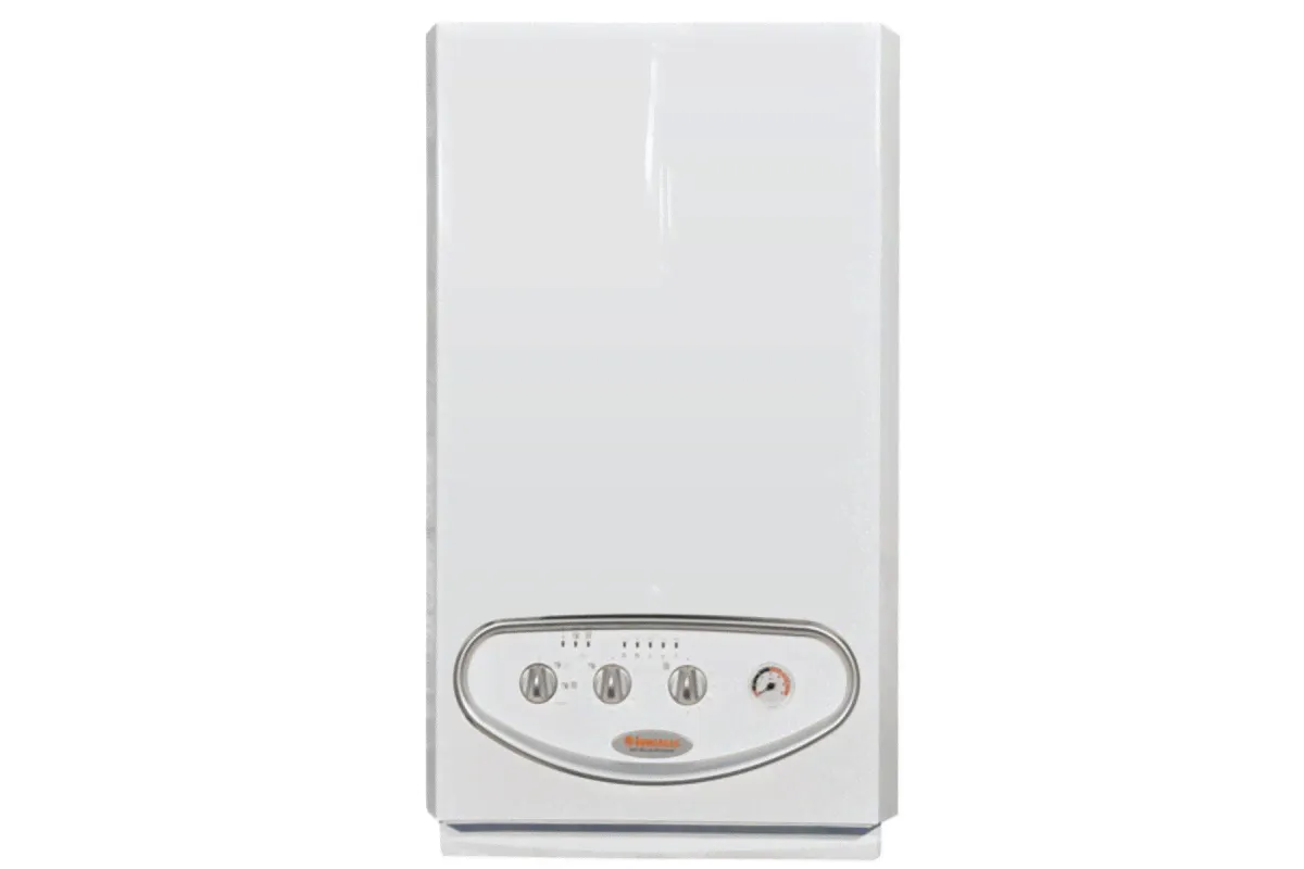 Котел газовый IMMERGAS Mini Nike 28 kW Special-2