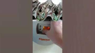 24kW🔥Immergas Nike Star конец подкрался незаметно битермический теплообменник ГВС Тепло Без Газа