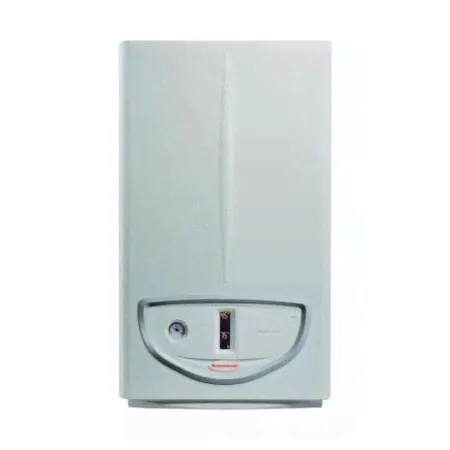 Котел газовый настенный IMMERGAS Maior Eolo 32 двухконтурный-0