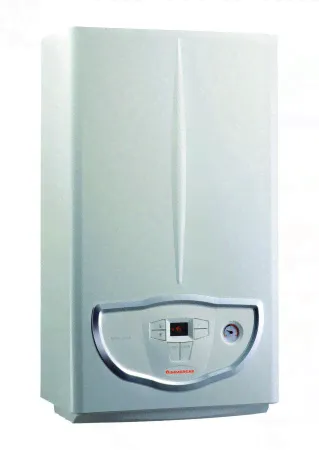 IMMERGAS Котел газовый настенный двухконтурный Mini Nike 24 3 E