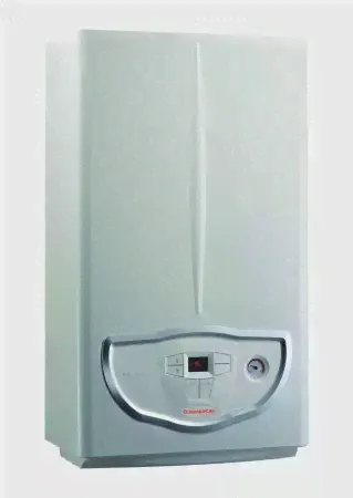 Настенный газовый котел Immergas Mini Eolo X 24 3E-0
